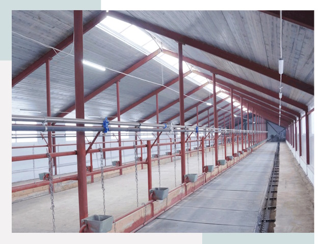 Строительство коровников в Шебекине от 611 руб.