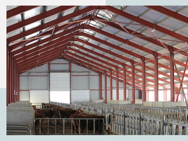 Строительство коровников в Шебекине