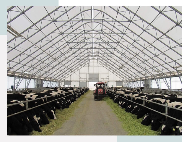 Тентовые коровники в Шебекине от 611 руб. - Надежно и доступно