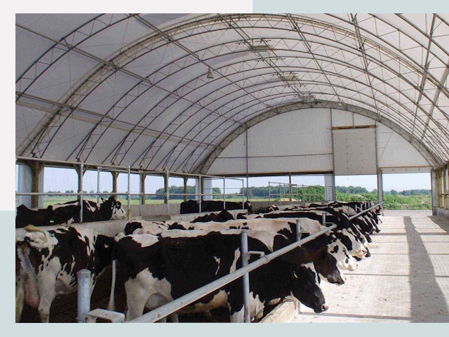 Тентовые коровники в Шебекине